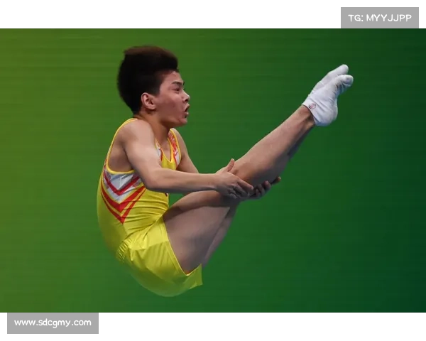 蹦床赛事直播—2024年国际蹦床大奖赛全程直播不容错过的精彩时刻高手云集巅峰较量